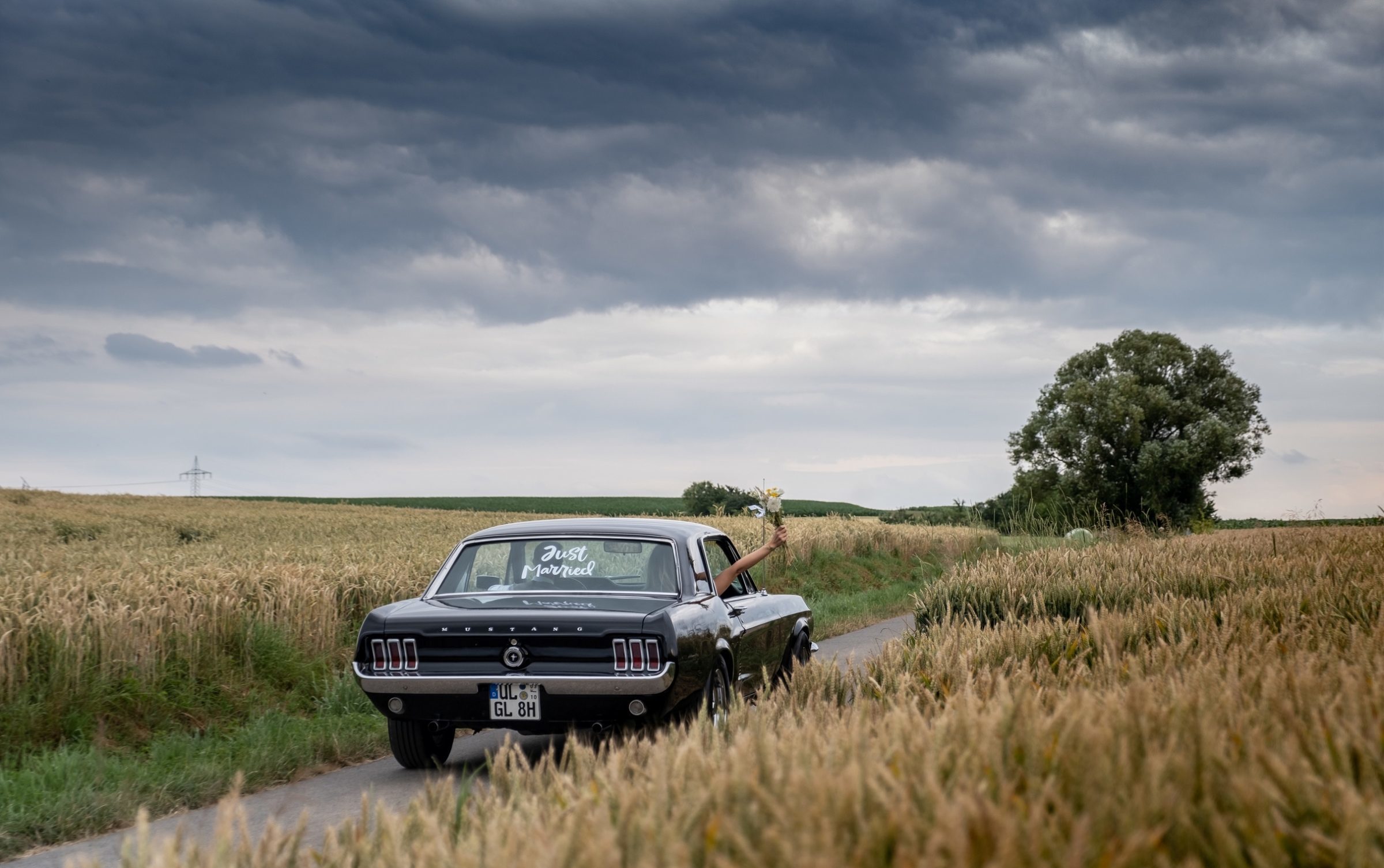 Foto de Estudios 44 34