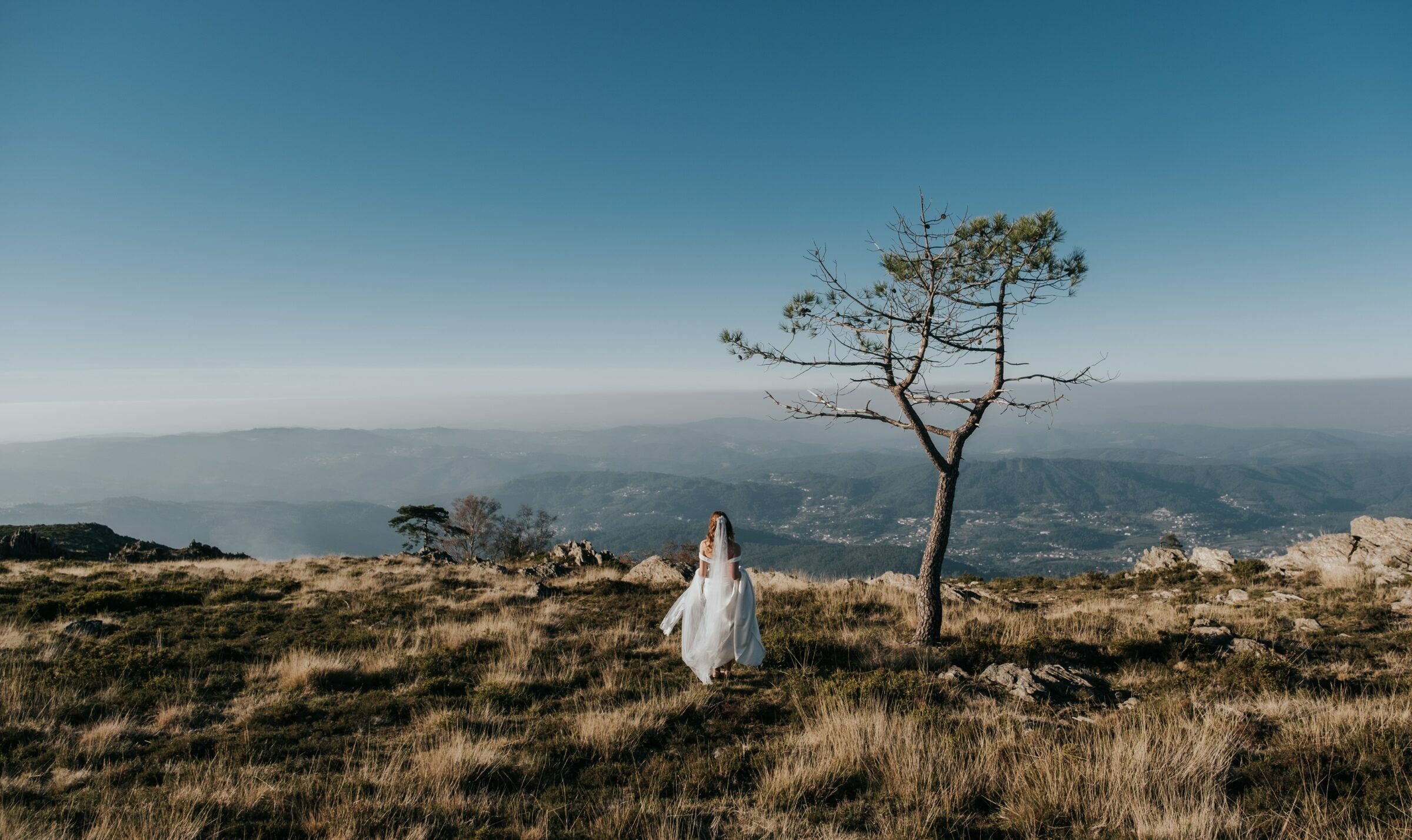 Foto de Estudios 44 29