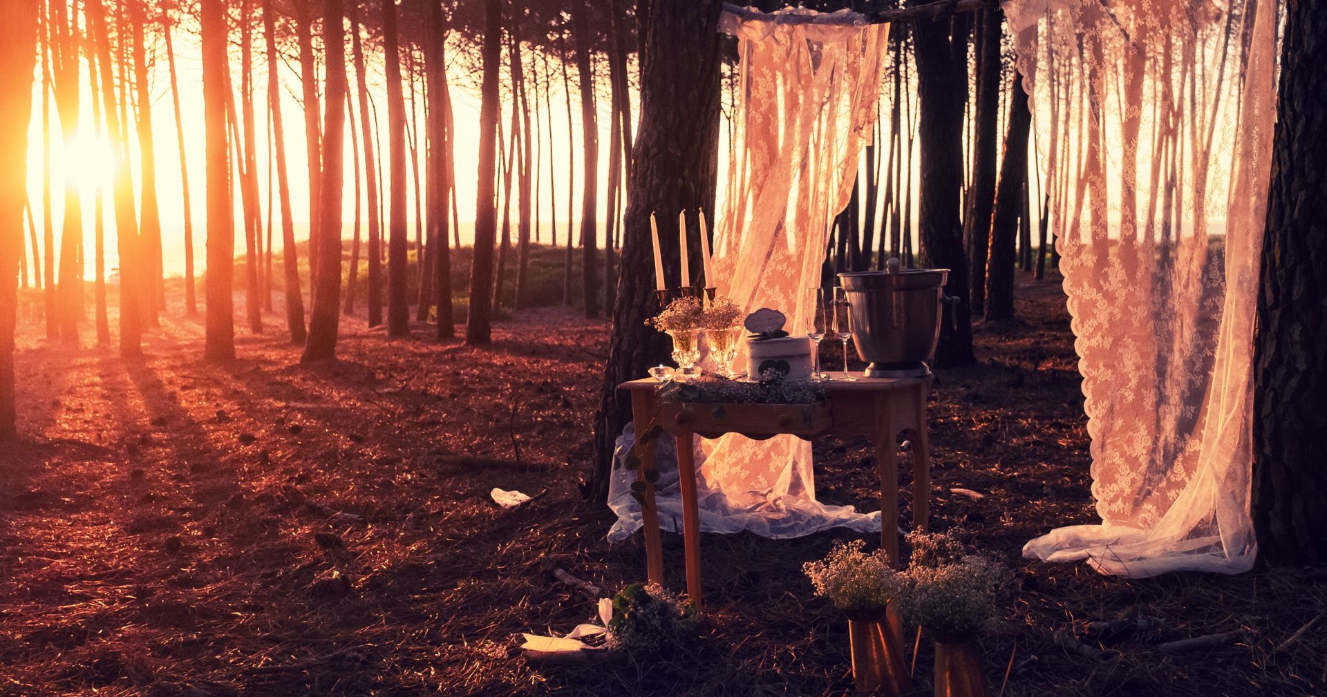 Foto Ana & Diogo Foto Ana & Diogo - Imagem 18