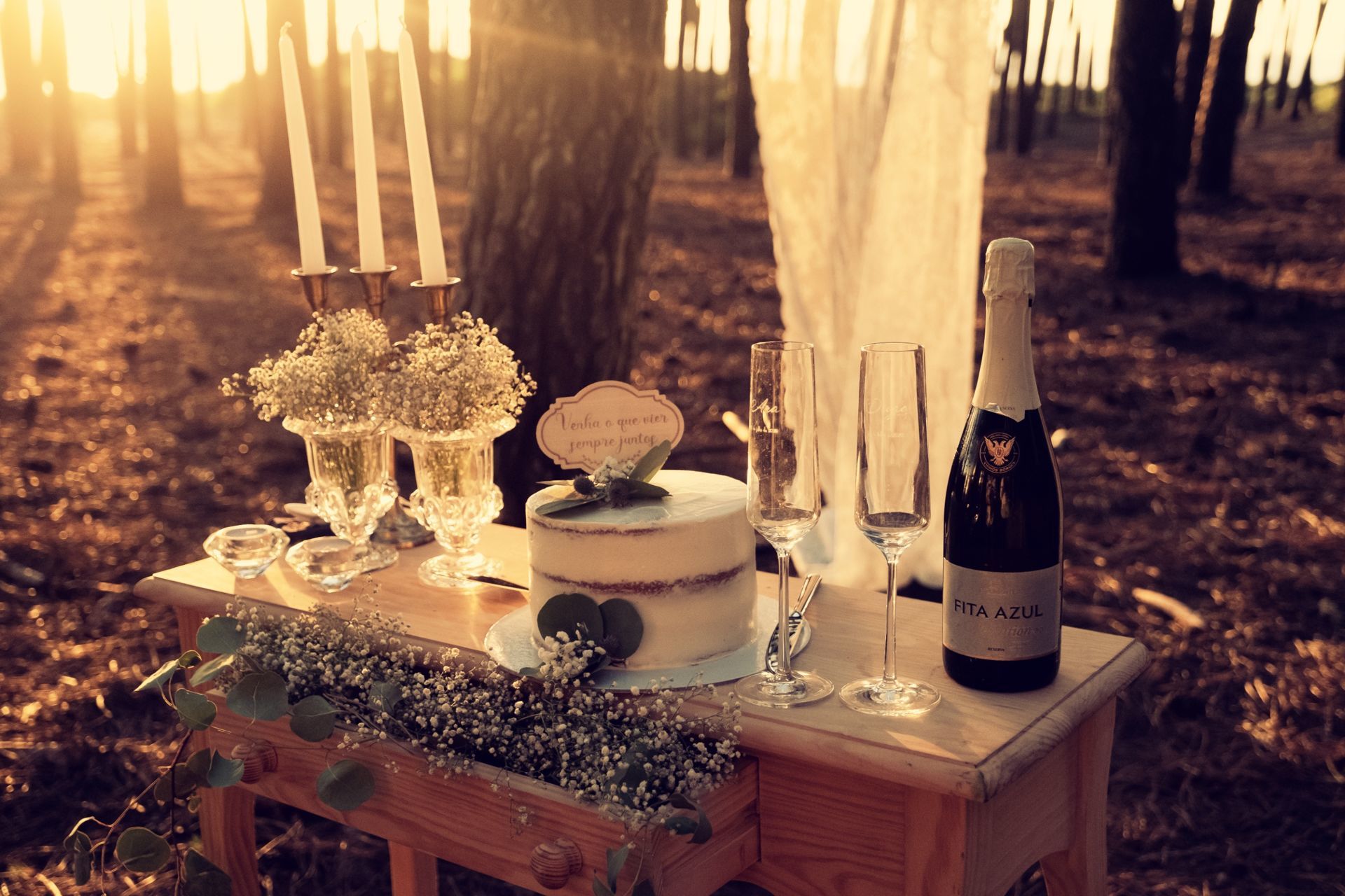 Foto Ana & Diogo Foto Ana & Diogo - Imagem 17