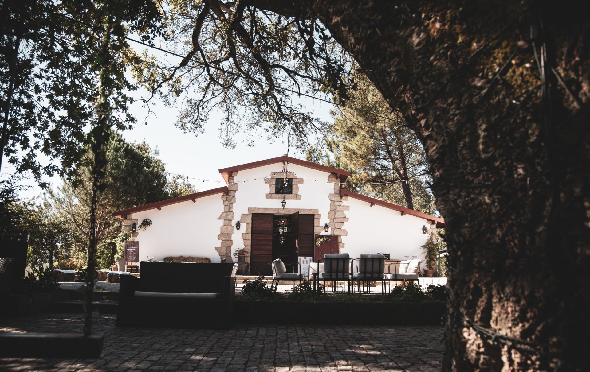 Foto Vera & Fernando - Boda-Quinta da Eira - Imagem 7