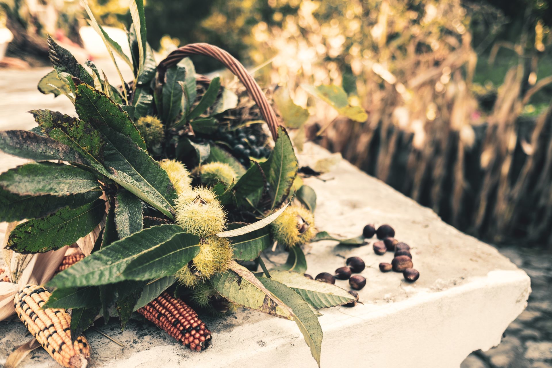Foto Vera & Fernando - Boda-Quinta da Eira - Imagem 2