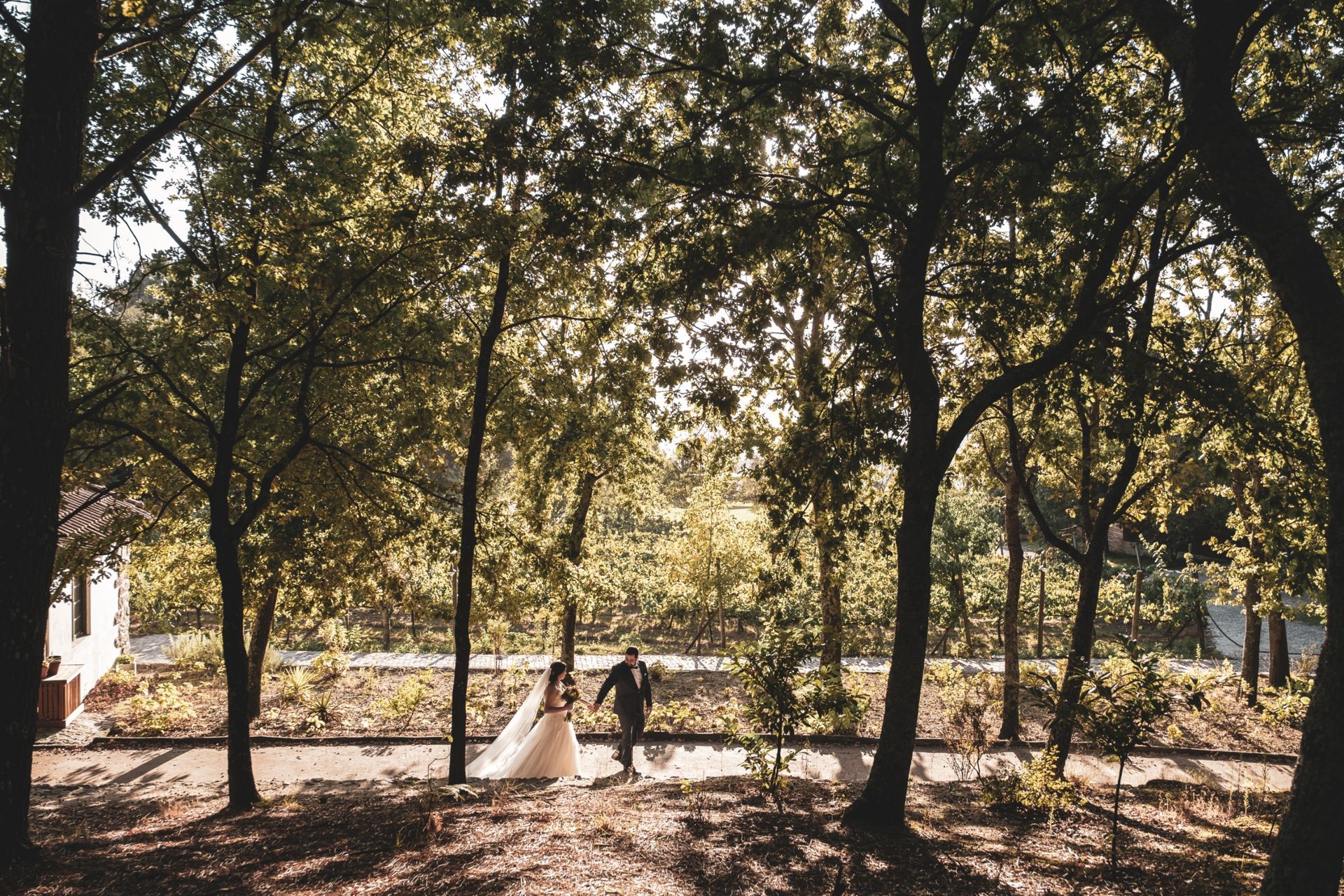 Foto Vera & Fernando - Boda-Quinta da Eira - Imagem 47