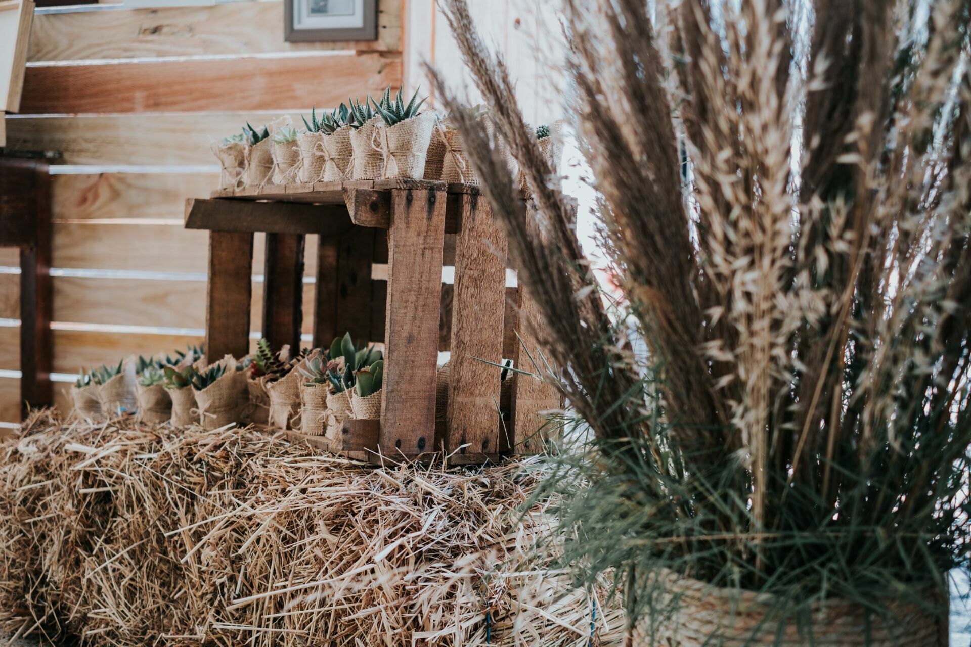 Foto Fátima & Gilberto - Imagem 10
