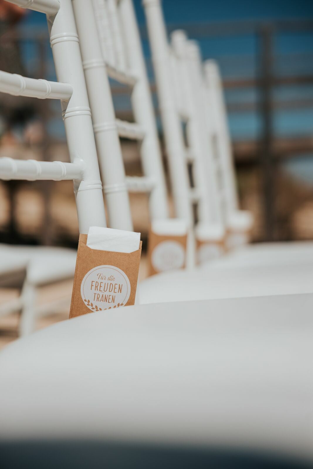 Foto Stefanie & André Foto Stefanie & André - Imagem 4