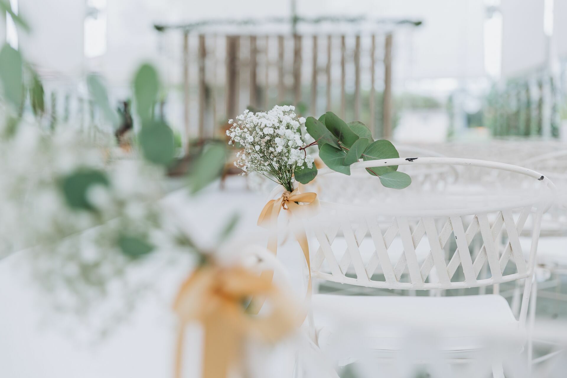 Foto Sofia & Fábio - Imagem 28