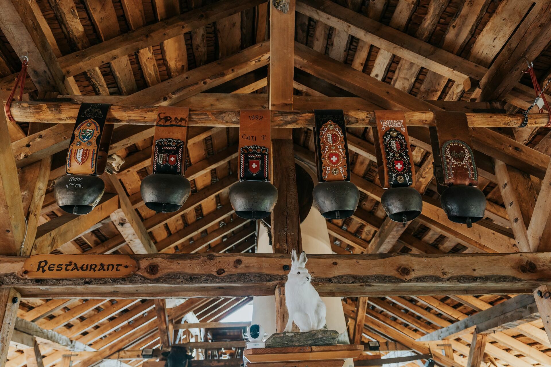 Foto Ambre e Coralie - Imagem 6