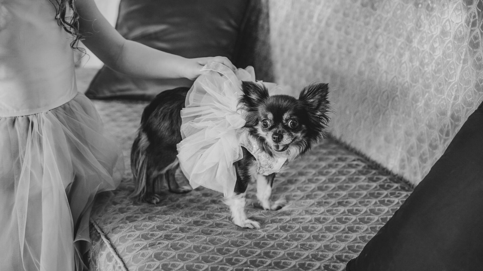 Foto Sabrina & Jay    Hotel Du Palais Biarritz - França - Imagem 19